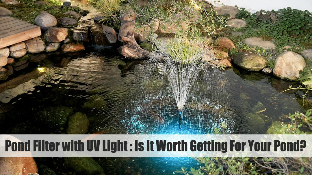 uv lighting for ponds