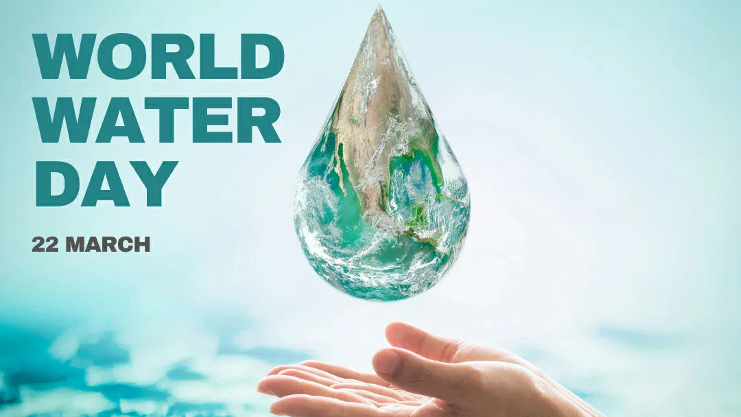 Save Pond Water: Easy Conservation Tips for World Water Day 2026