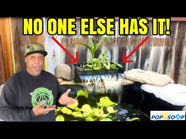 Perfect Filtration Solution for Homemade Small Pond: Poposoap Waterfall Box Filter Experience