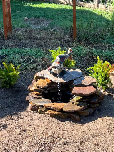 Customer photo
