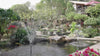 Pond Kits