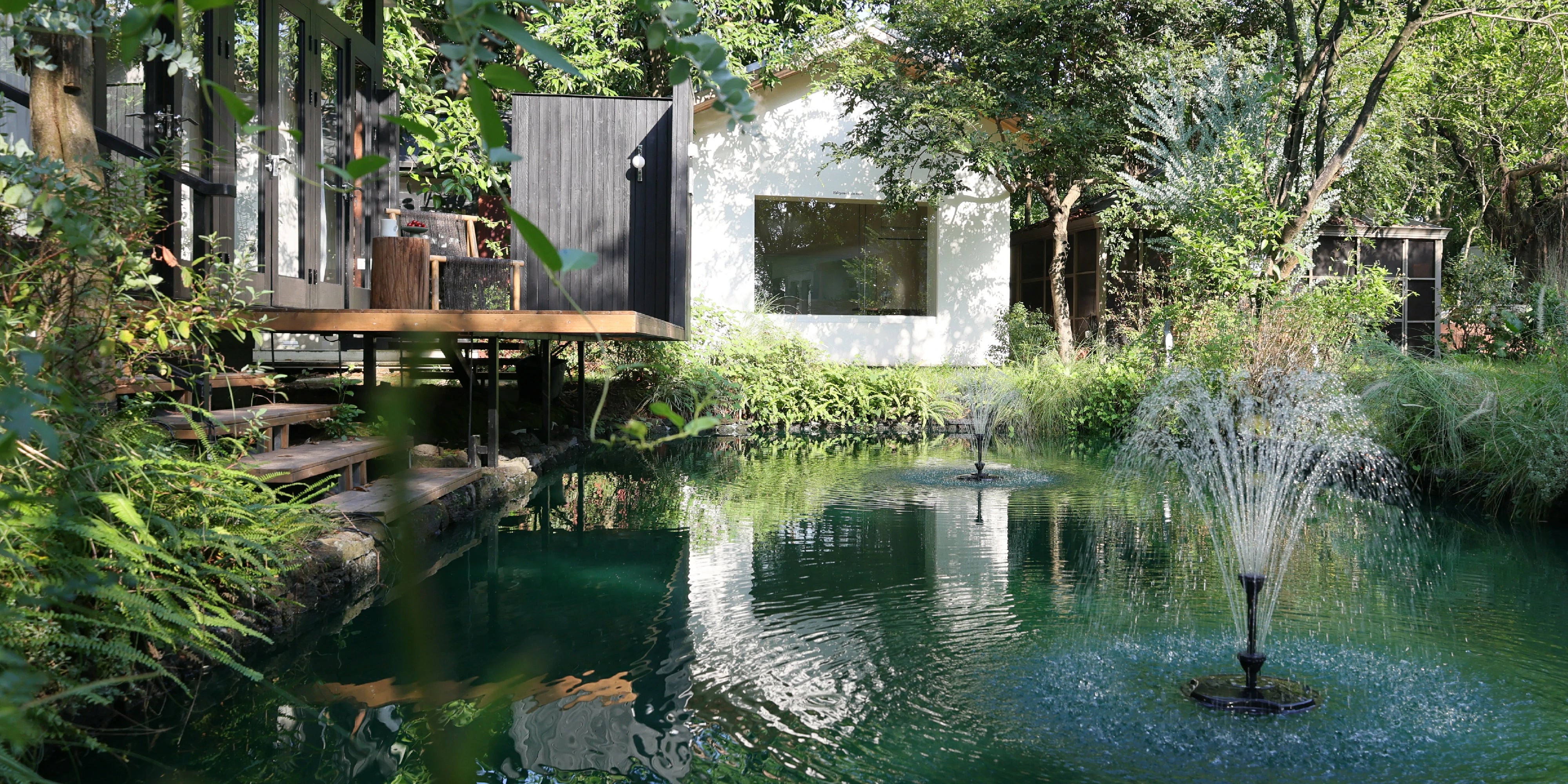 Garden Pond, Backyard Pond