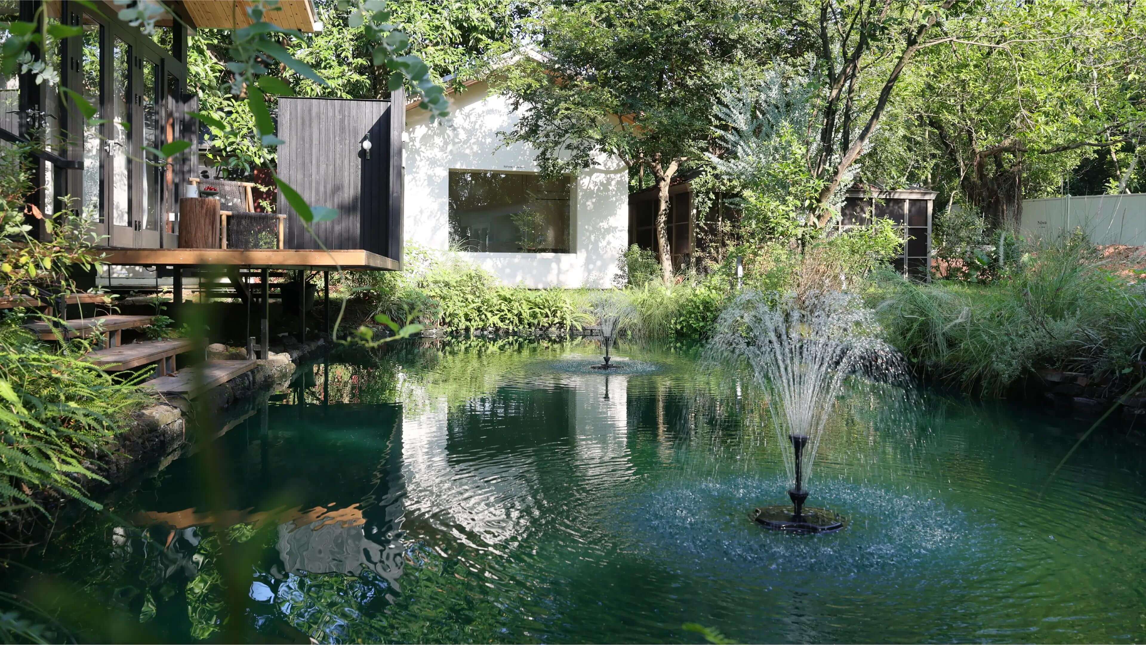 Bring Your Water Garden Home