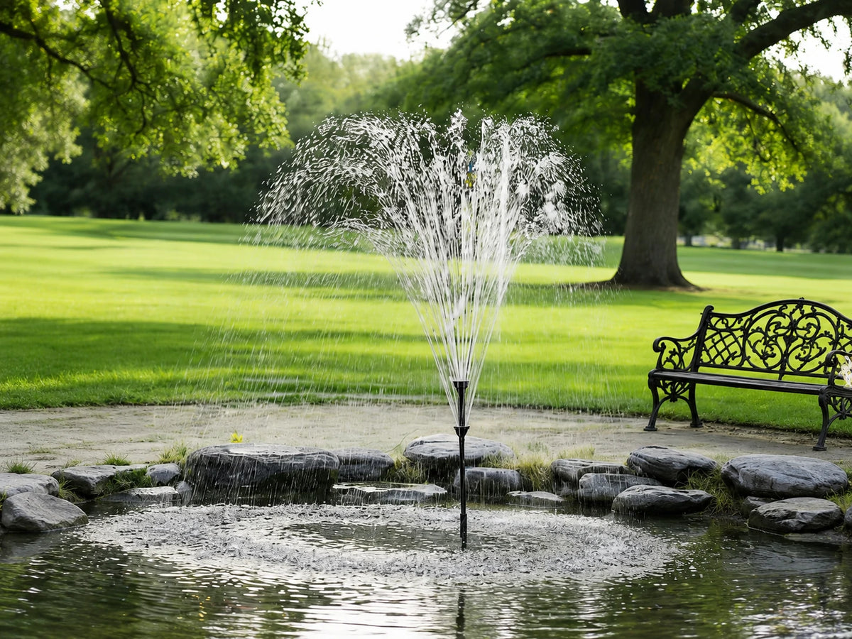 Outdoor Pond